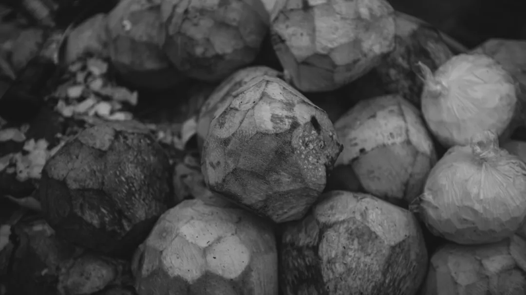 口腔护理产品选购指南:电动牙刷头与牙线搭配使用方案解析