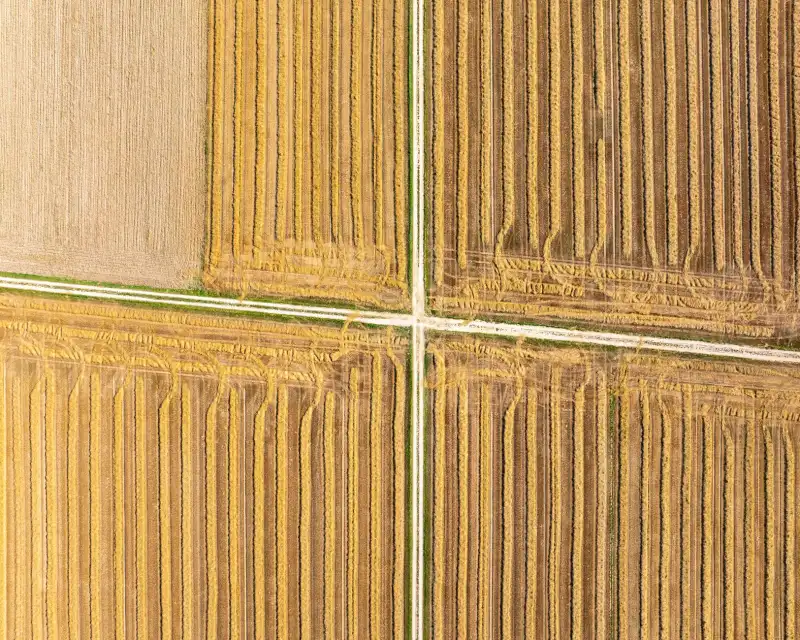 2025年口腔护理产品选购指南:电动牙刷头与冲牙器搭配方案解析正文配图 2